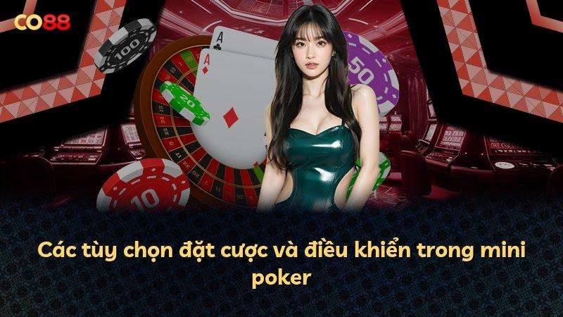 Các tùy chọn đặt cược và điều khiển trong mini poker