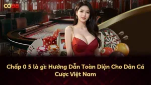 Chấp 0 5 là gì: Hướng Dẫn Toàn Diện Cho Dân Cá Cược Việt Nam