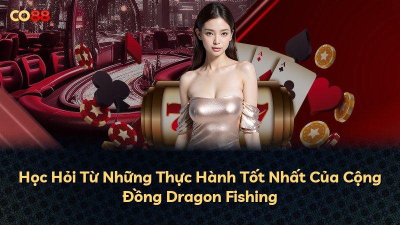 Học Hỏi Từ Những Thực Hành Tốt Nhất Của Cộng Đồng Dragon Fishing
