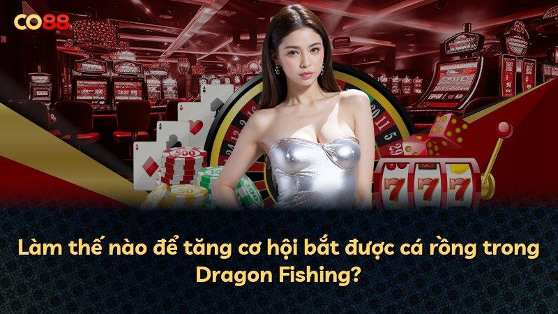Làm thế nào để tăng cơ hội bắt được cá rồng trong Dragon Fishing?