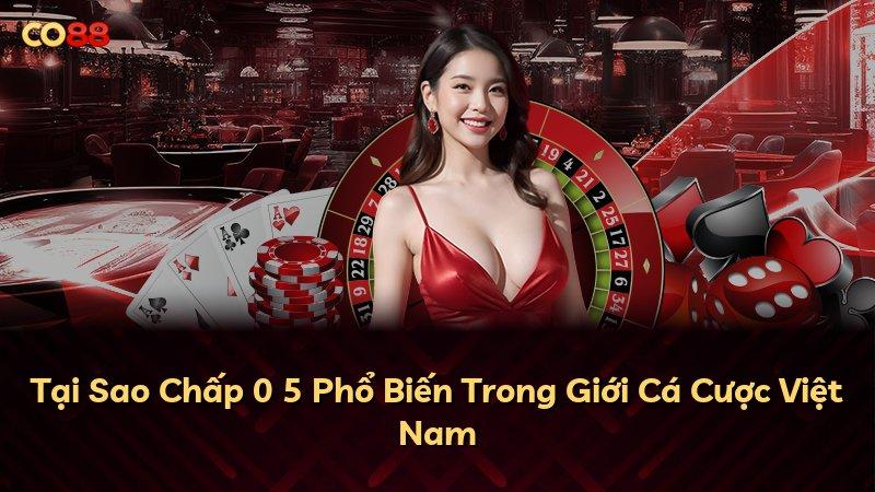 Tại Sao Chấp 0 5 Phổ Biến Trong Giới Cá Cược Việt Nam