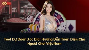 Tool Dự Đoán Xóc Đĩa: Hướng Dẫn Toàn Diện Cho Người Chơi Việt Nam